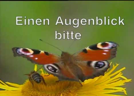 Einen Augenblick bitte